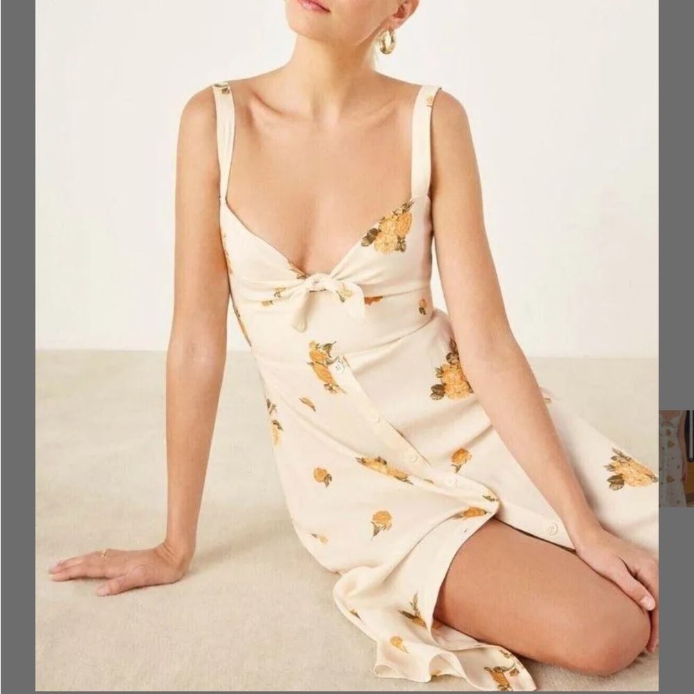 Reformation Frankfort dress